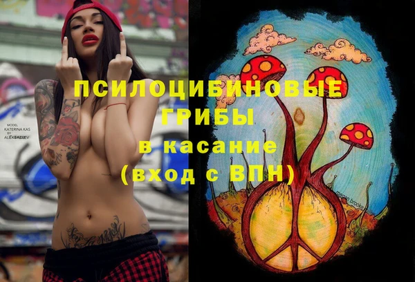 прущие крисы Баксан
