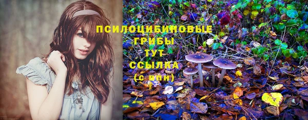 гидропоника Сатка