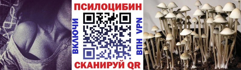 Галлюциногенные грибы мицелий  Кологрив 
